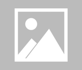  Ming回归赛场，连败首场状态亮眼，瑞士队观众沸腾！-爱游戏